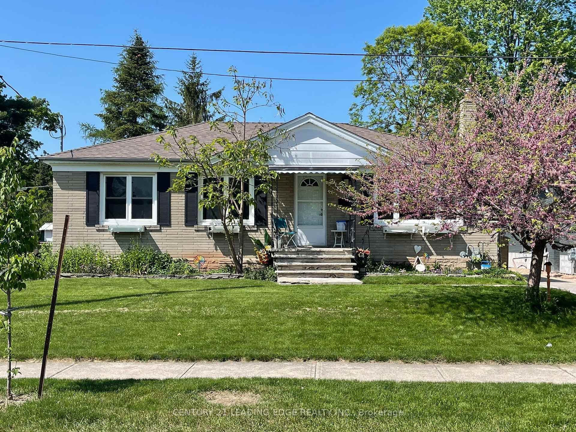 19 shelley Street photo 1