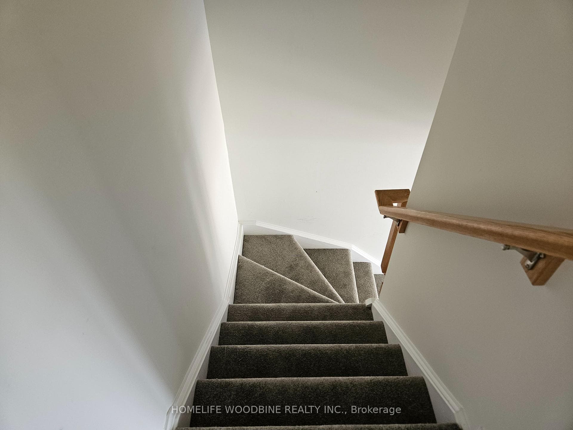 31 Roxanne Drive photo 20