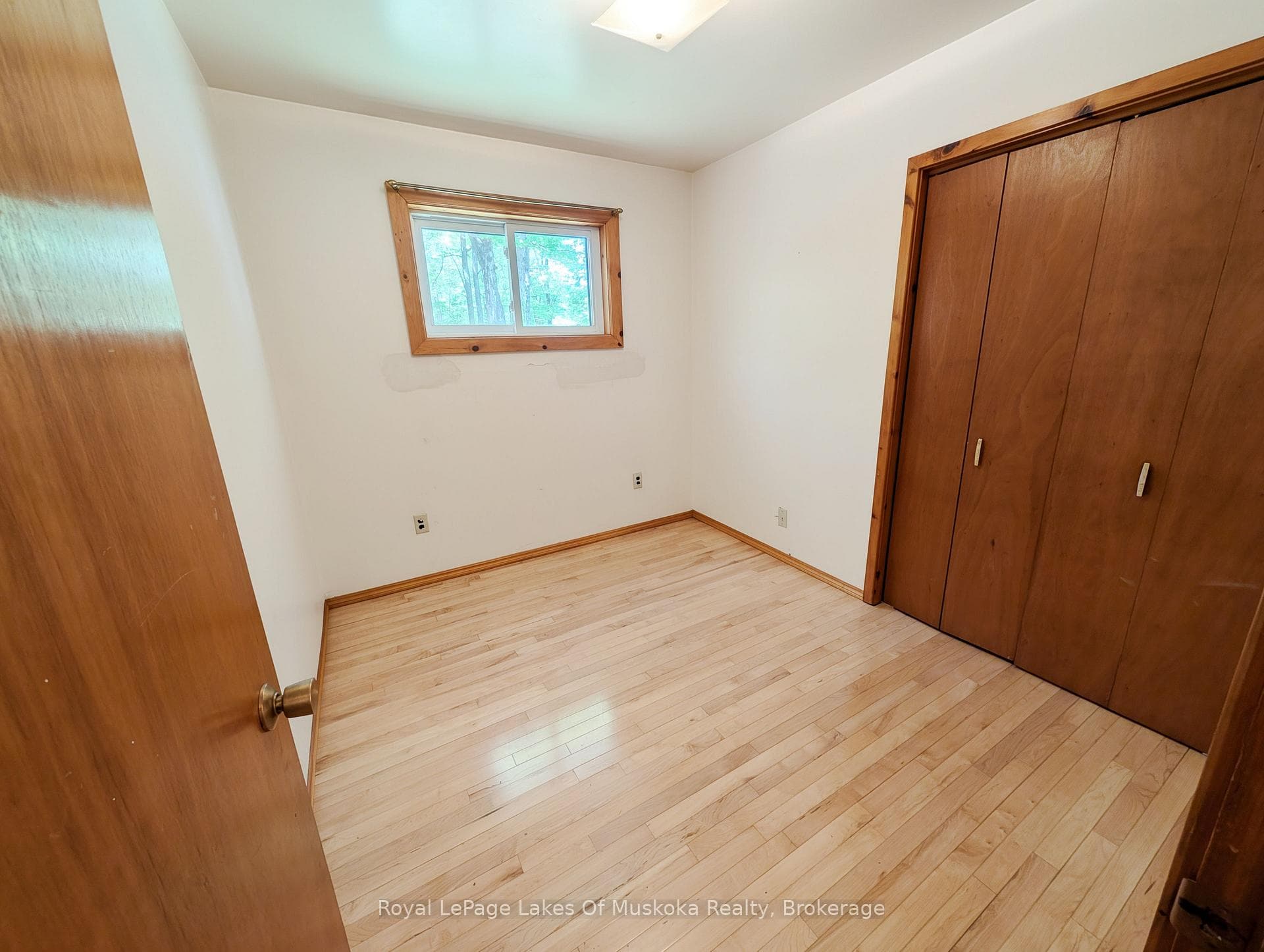722 South Horn Lk Road photo 8