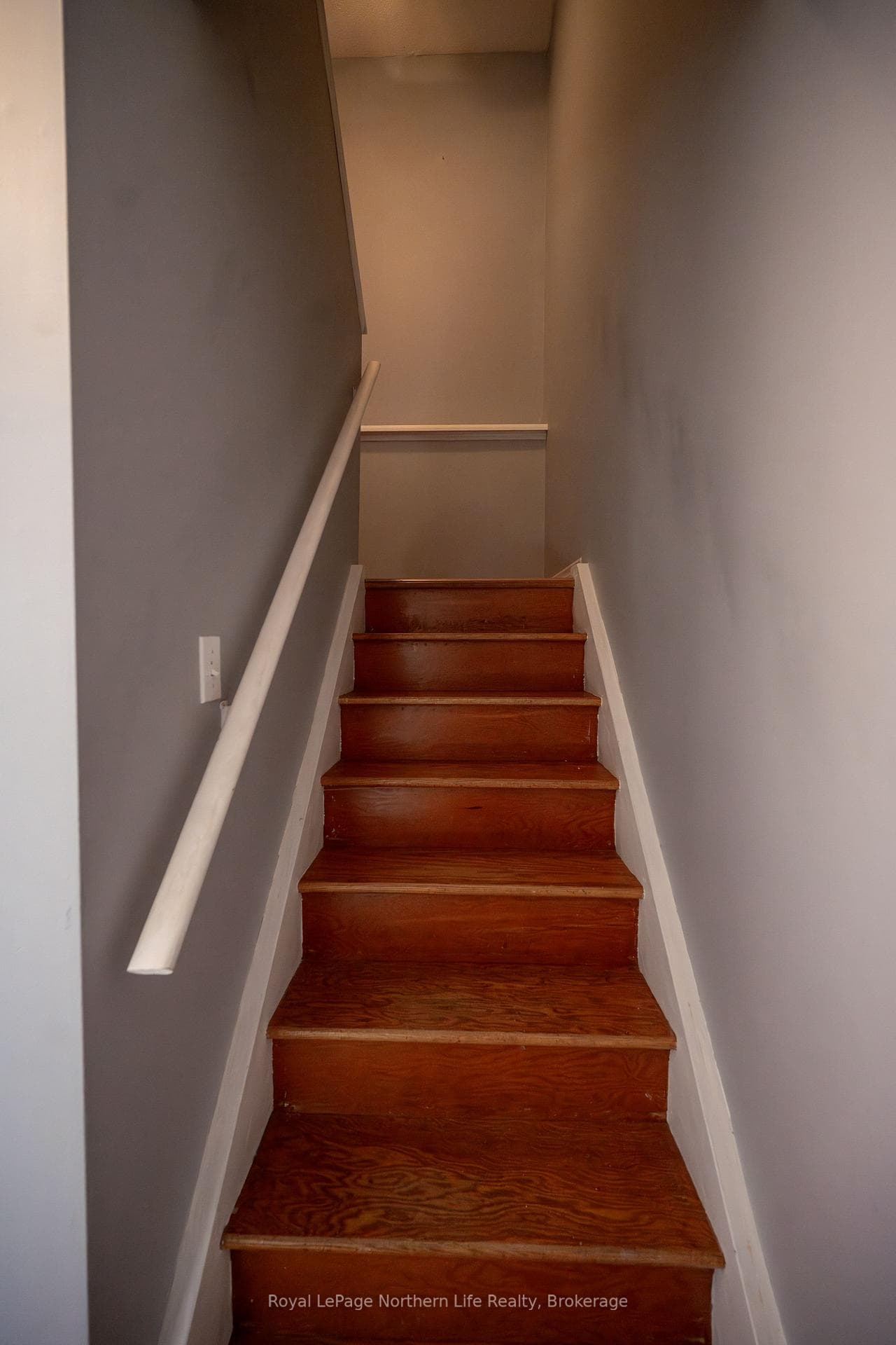 17 Arthur Court photo 12