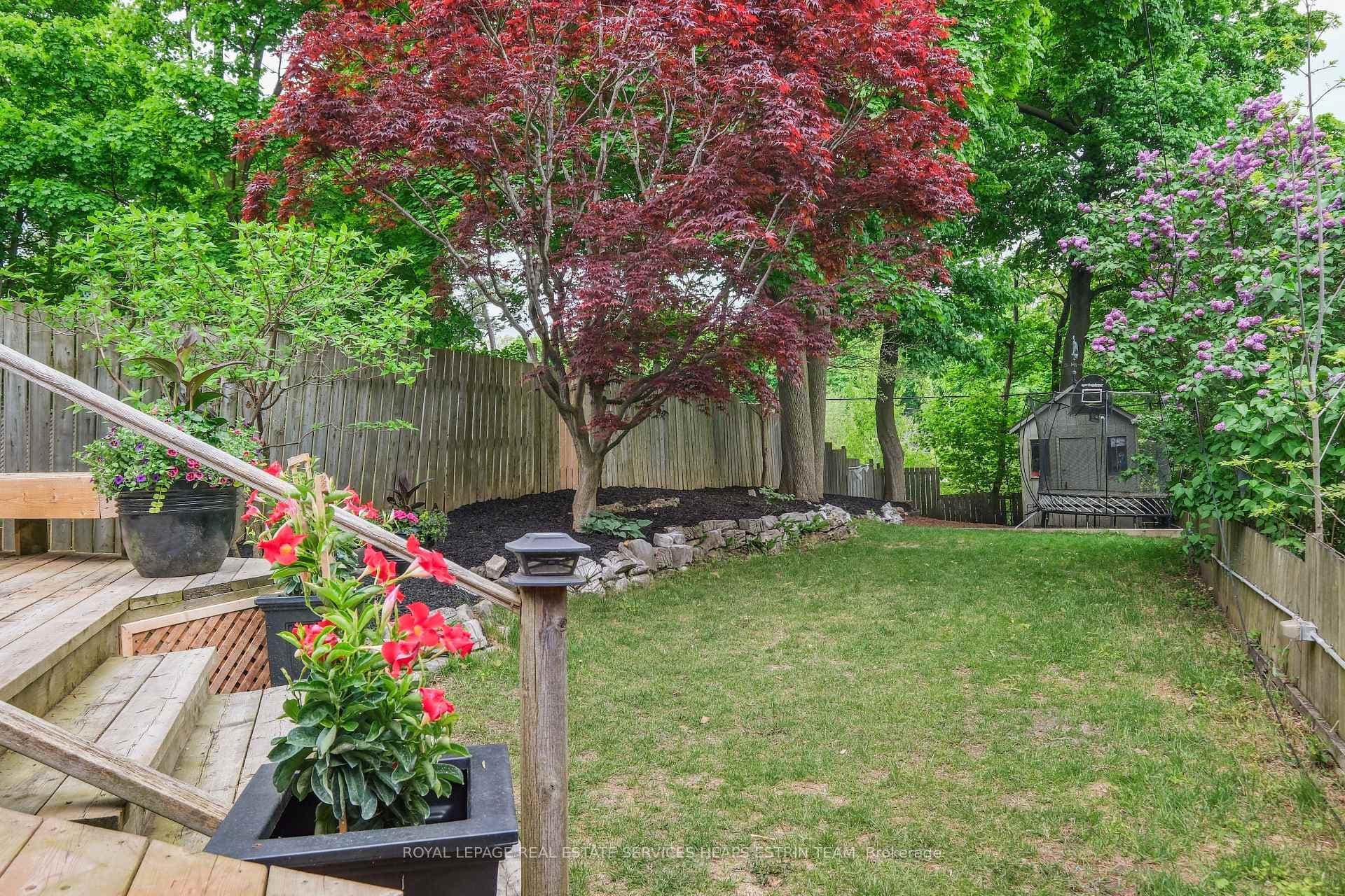 346 Keewatin Avenue photo 33