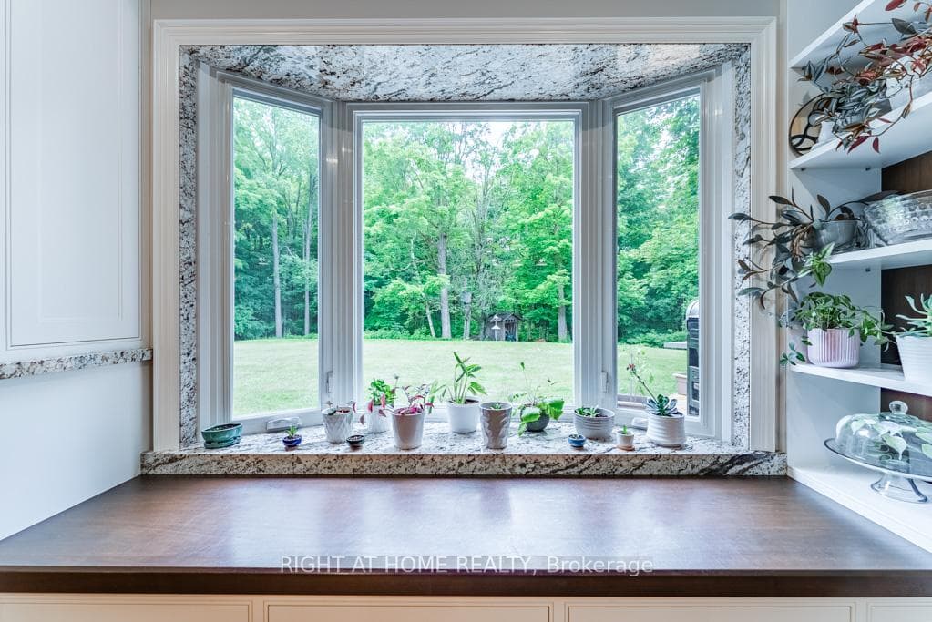 16 Snowberry Court photo 16