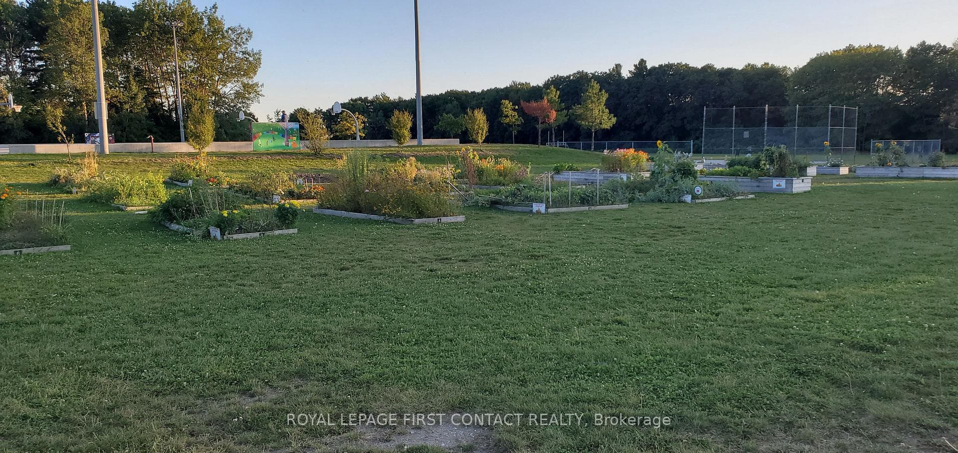 Sports fields and vast parkland