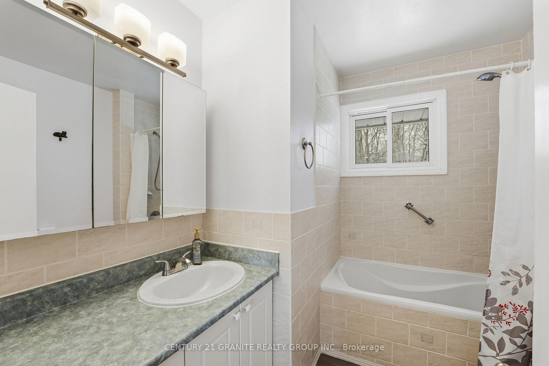 12 Forest Hill Road photo 14