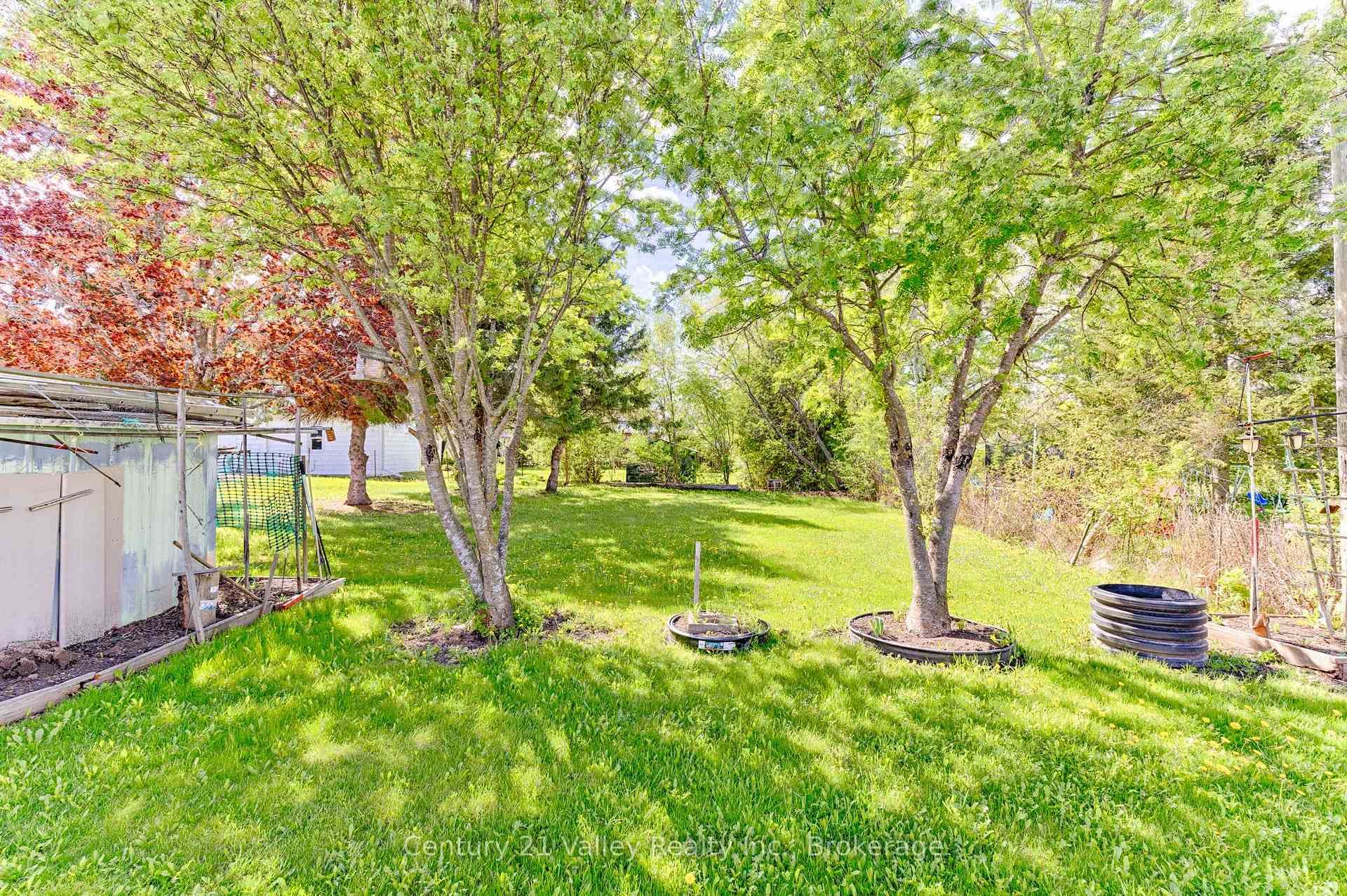 397 Mary Avenue photo 12