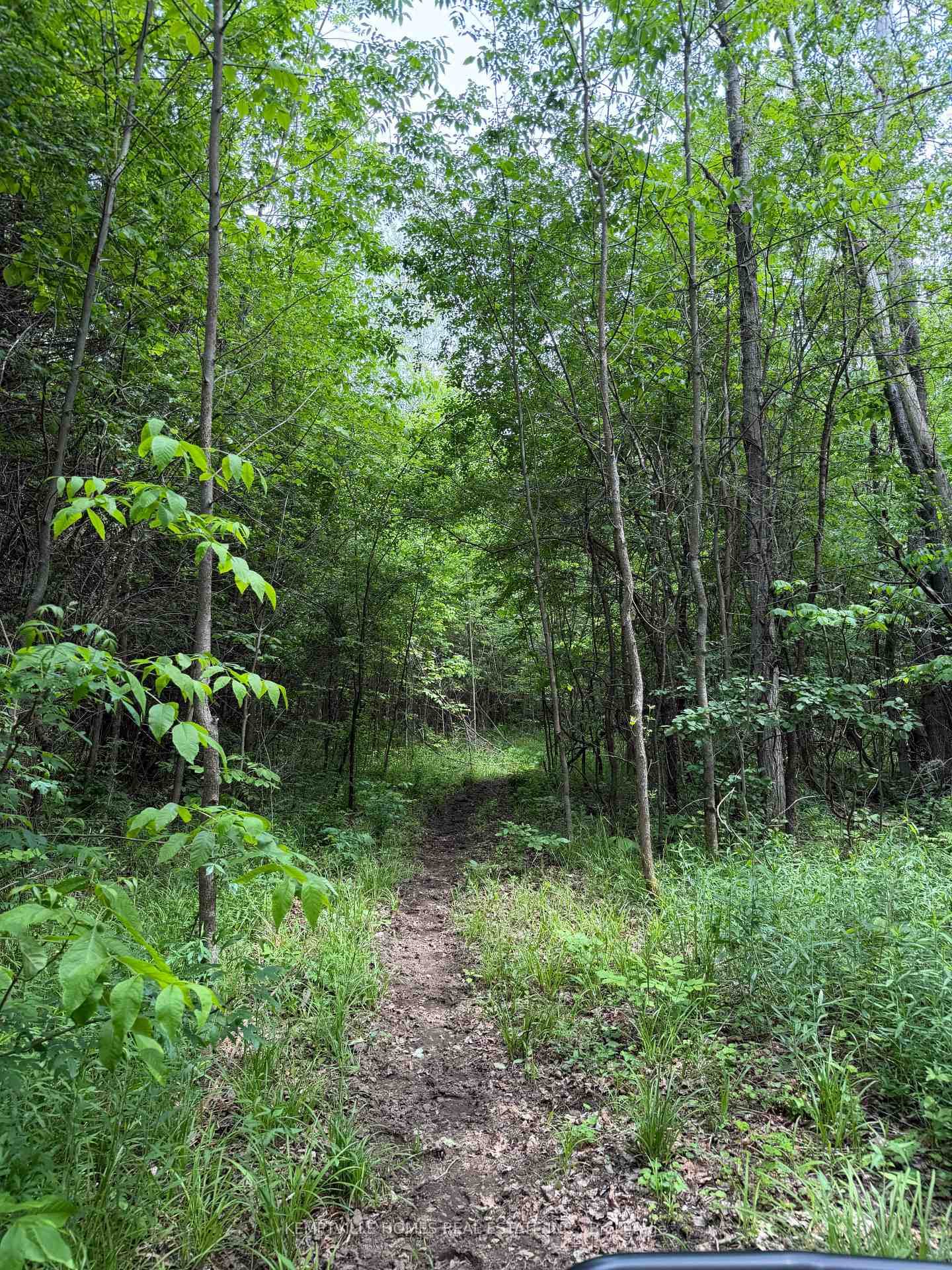 00 RICHARDSON Road photo 24