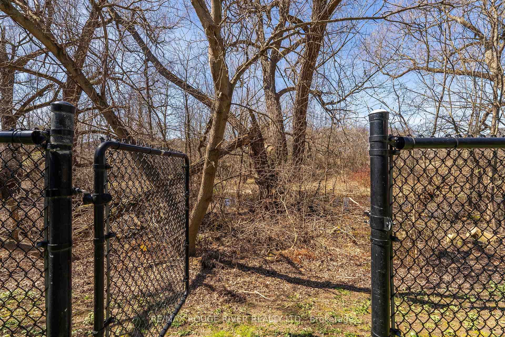 6 Cluff Court photo 36