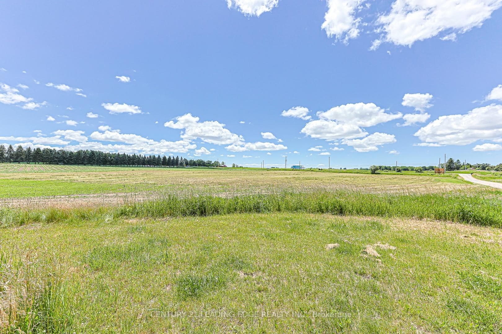 14093 Kennedy Road photo 35