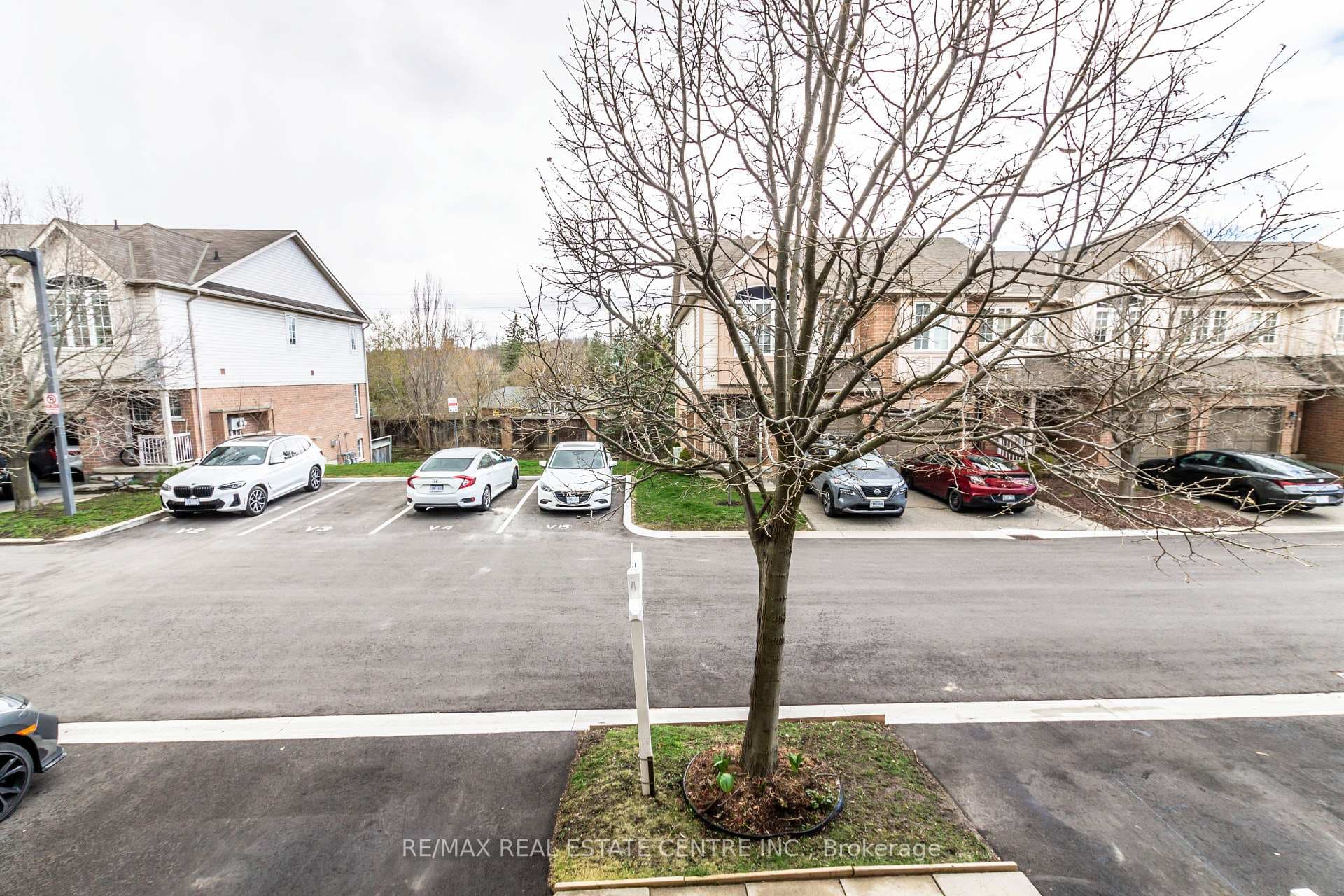 40 Palomino Trail photo 28