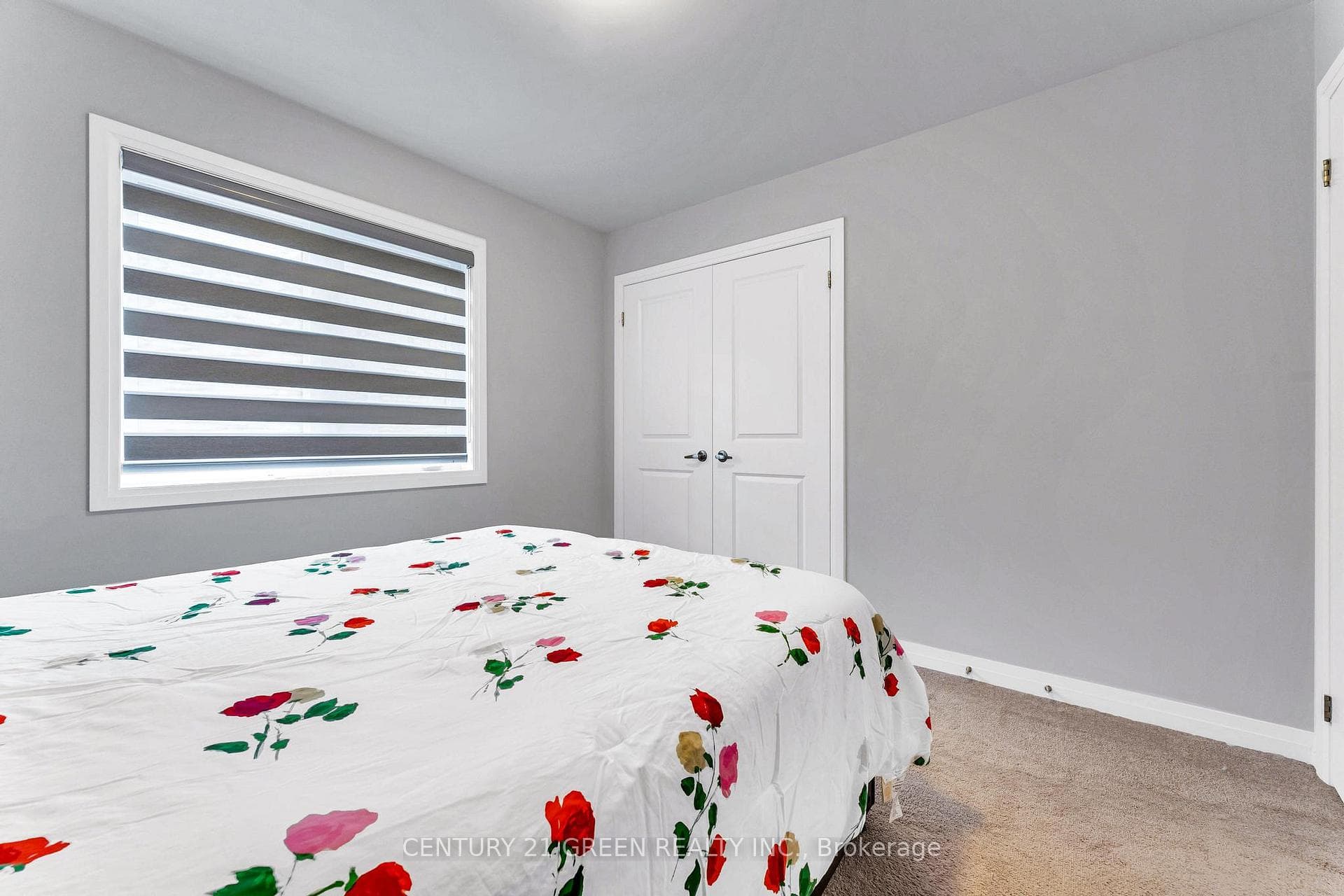 530 Thompson Street photo 24