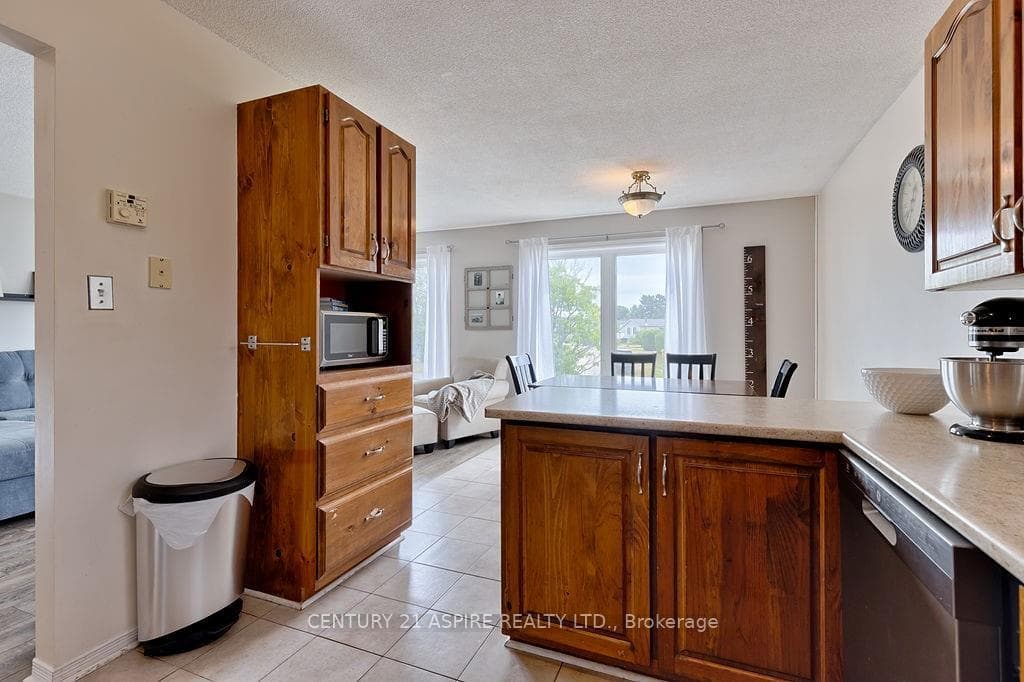 14 DUTCH Drive photo 11