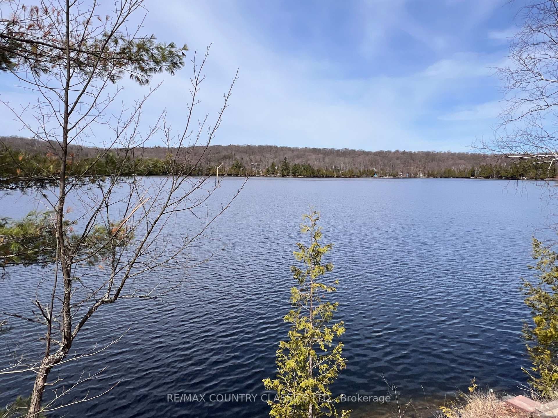 1322A Weslemkoon Lake Road photo 46