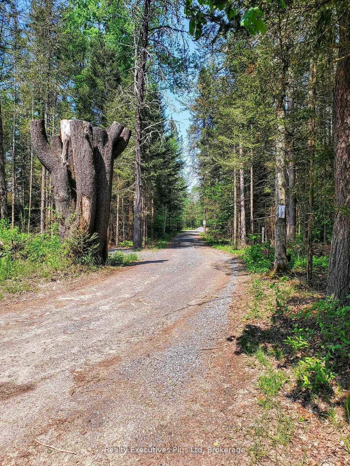 297 Joly Strong Road photo 7