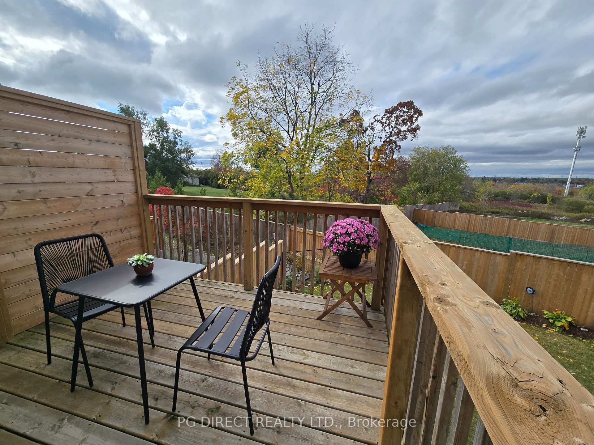 955 Blossom Street photo 9