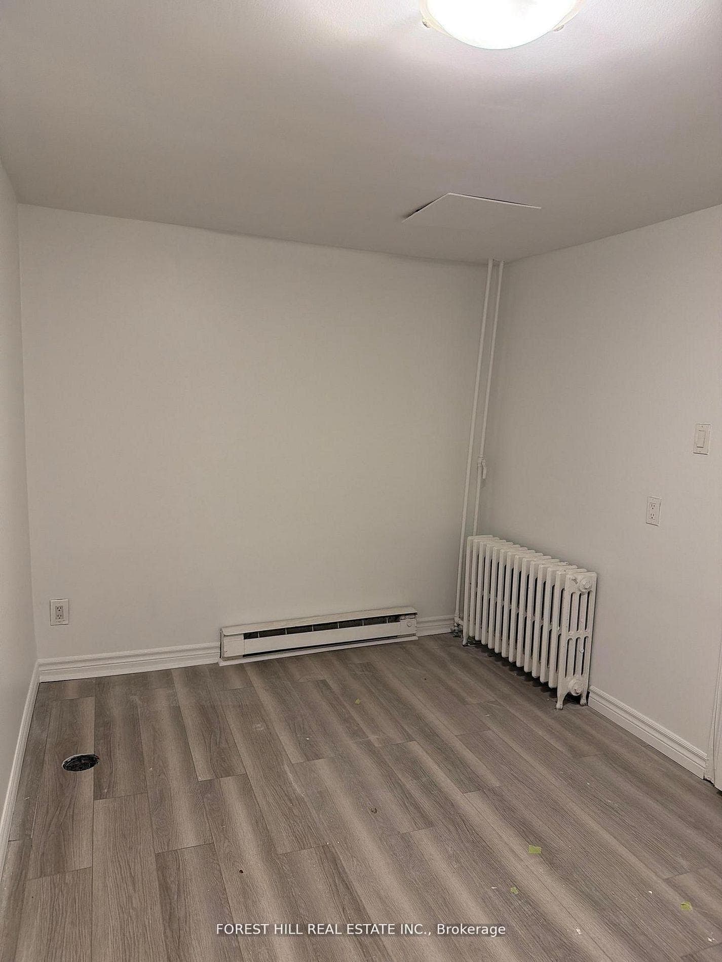 67 Brunswick Avenue Unit Lower photo 8