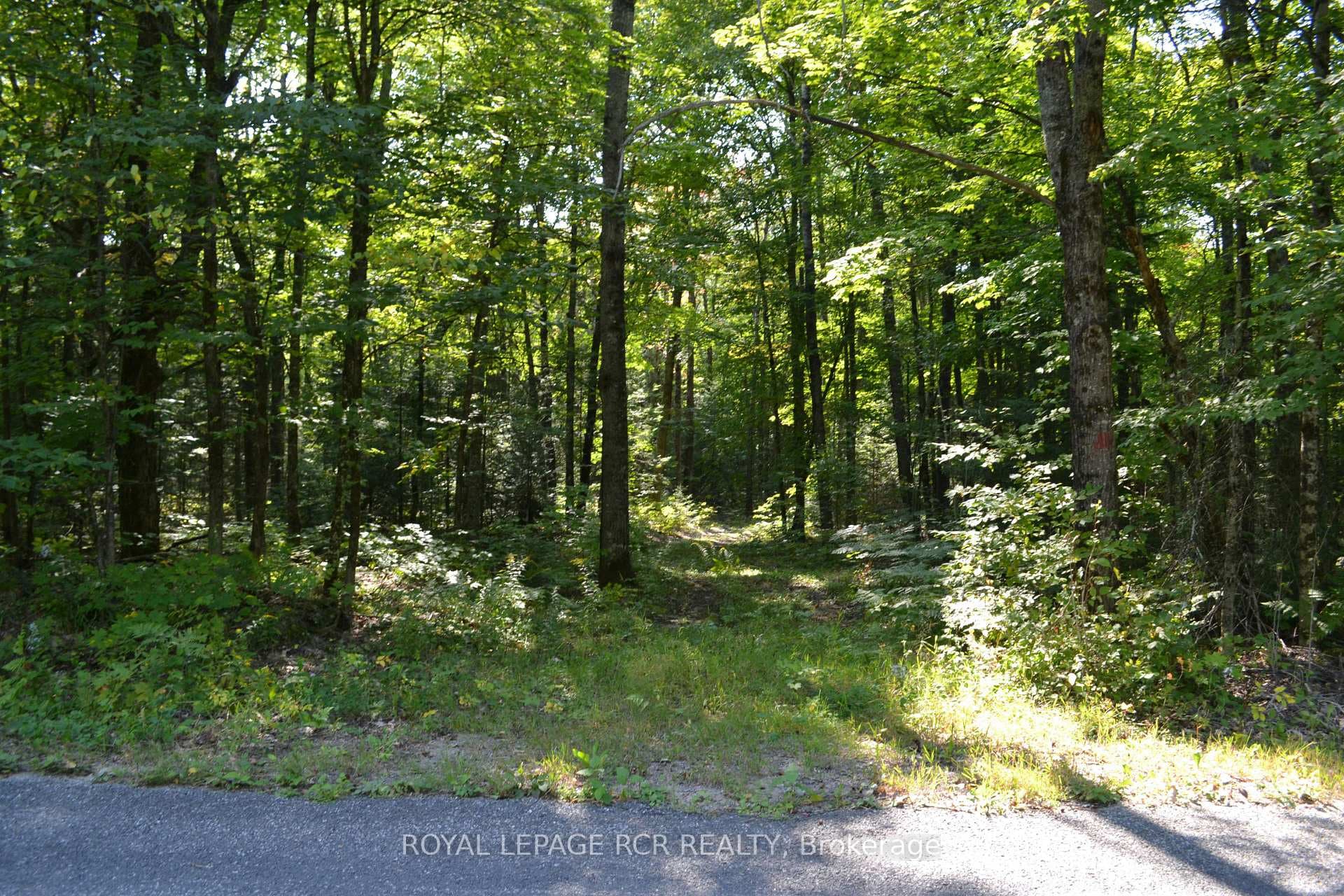 Lot 35 Glamor Lake Road photo 2