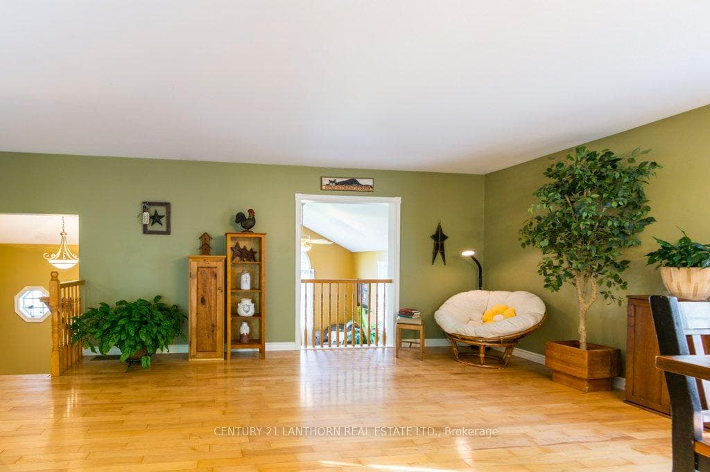 71 Waddingham Road photo 13