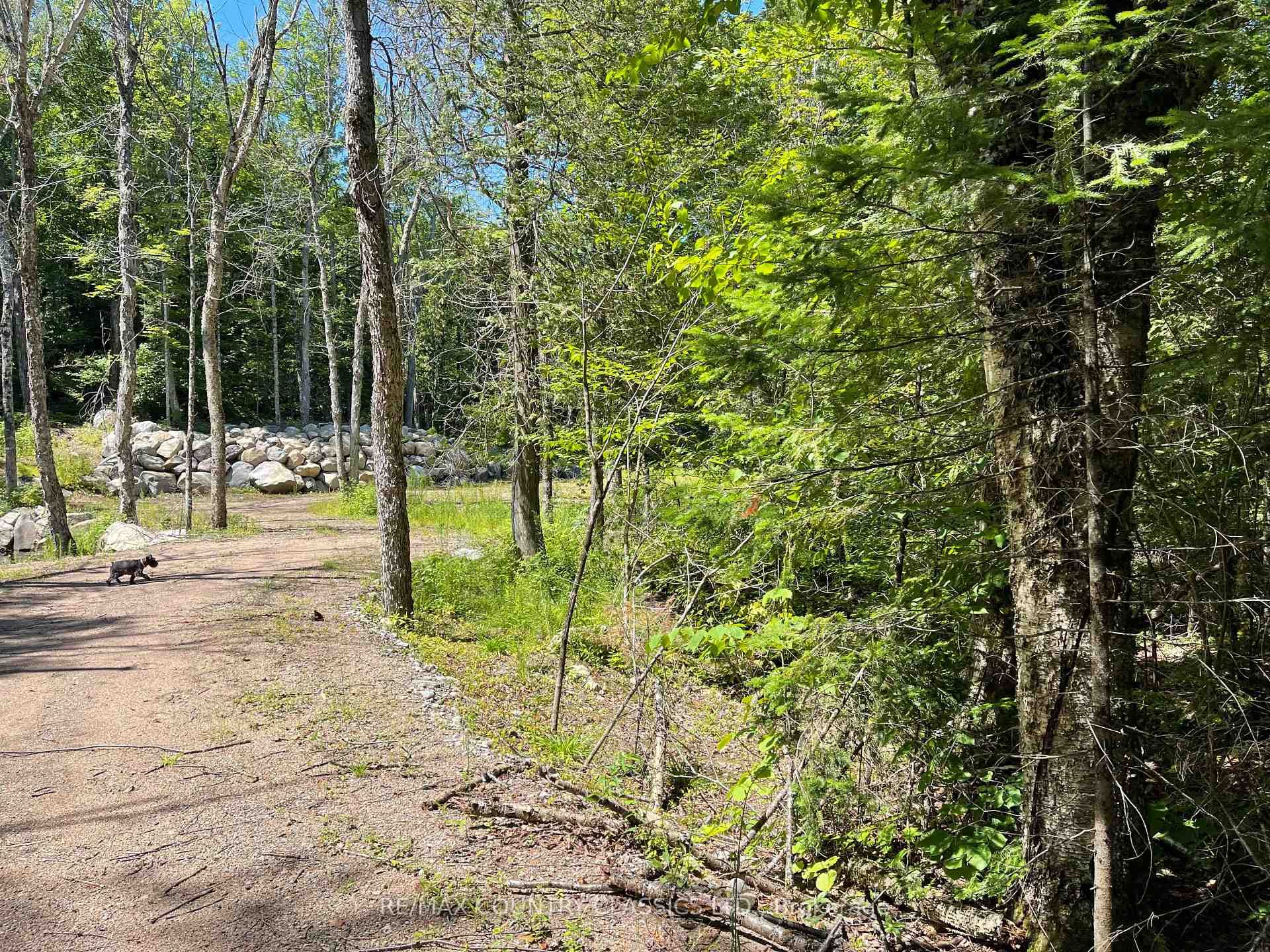 001 O'Grady Settlement Road photo 5