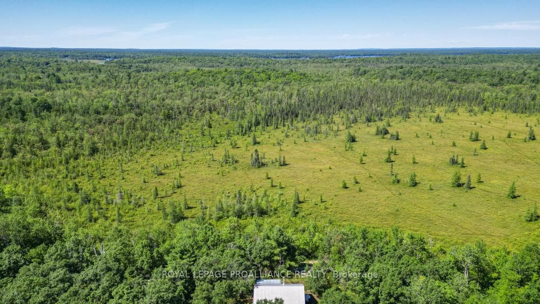 1293 Alf's Bay Lane photo 23