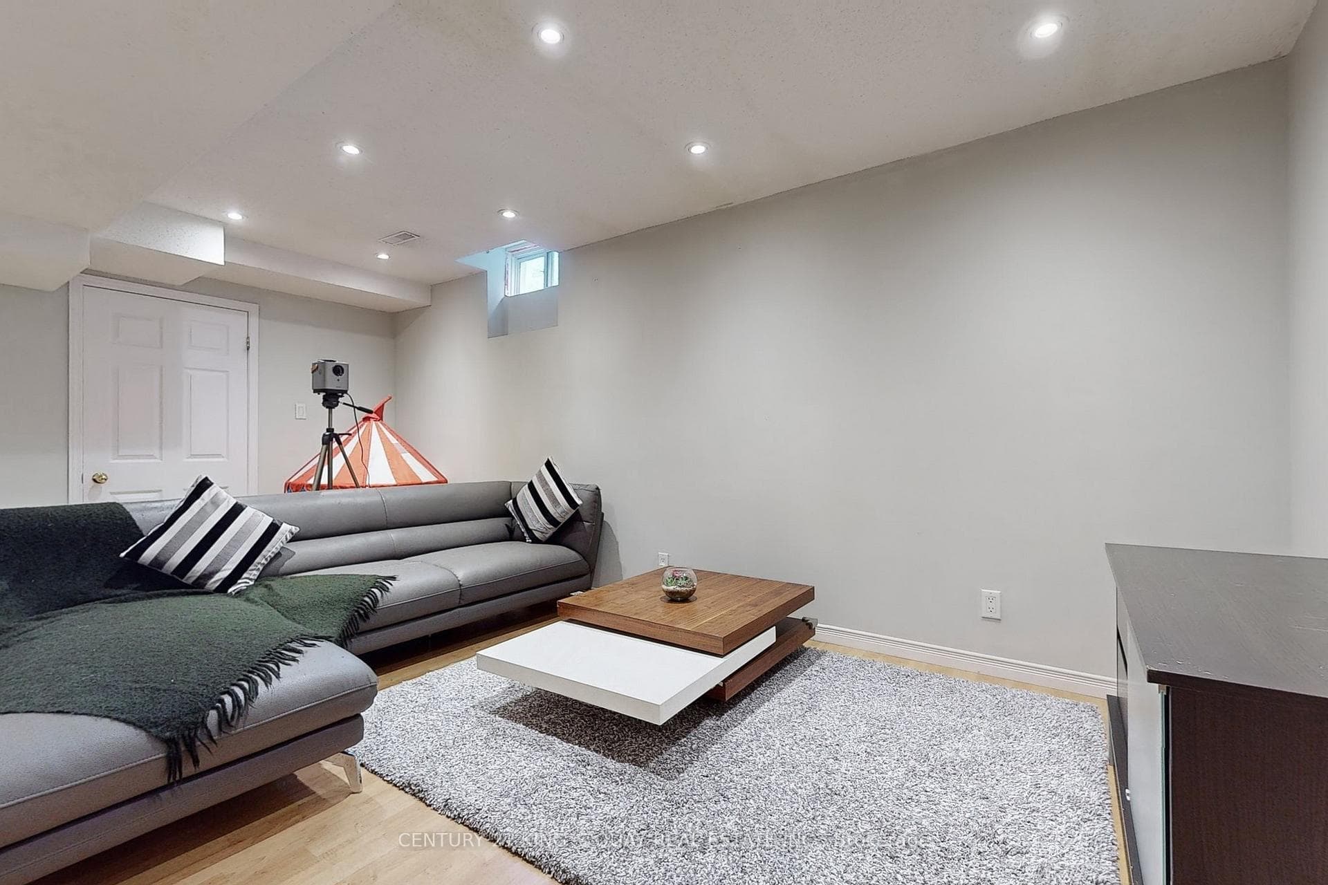 Basement Recreation Room
