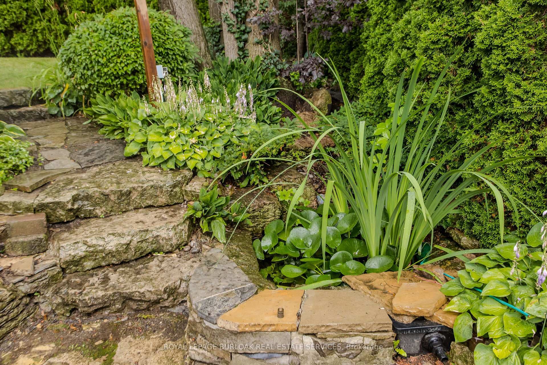 54 Waterwheel Crescent photo 6