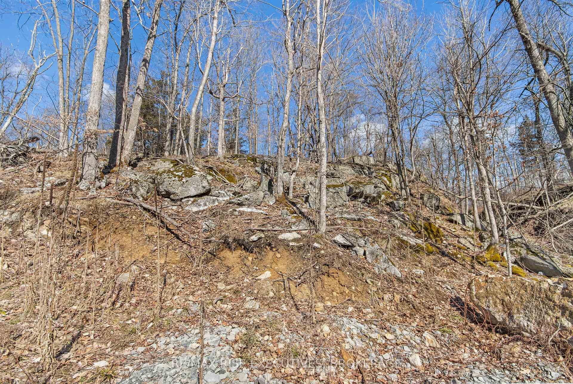 6 CRANBERRY COVE Lane photo 15