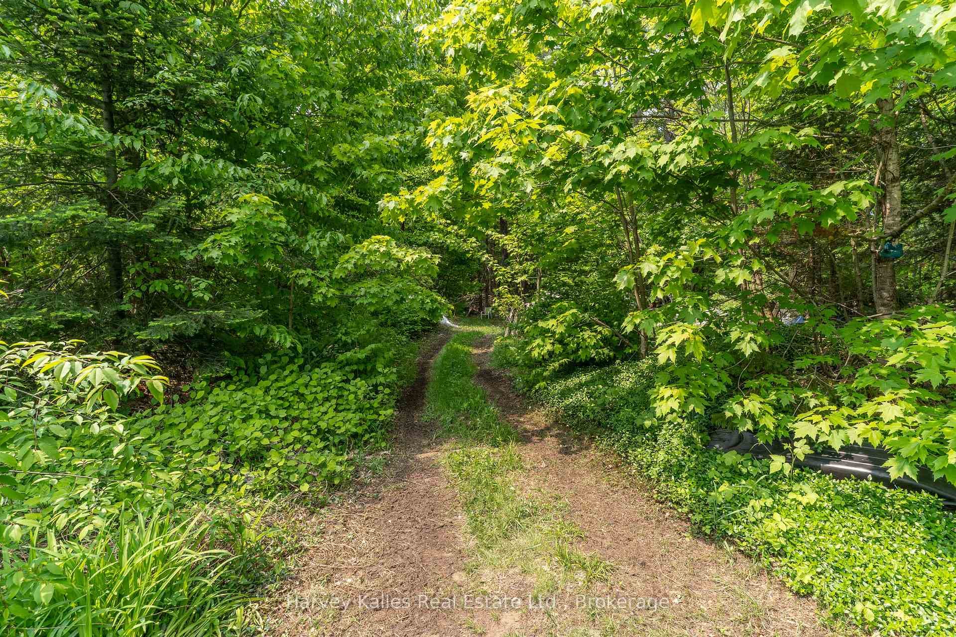 1099 Peterson Road photo 29