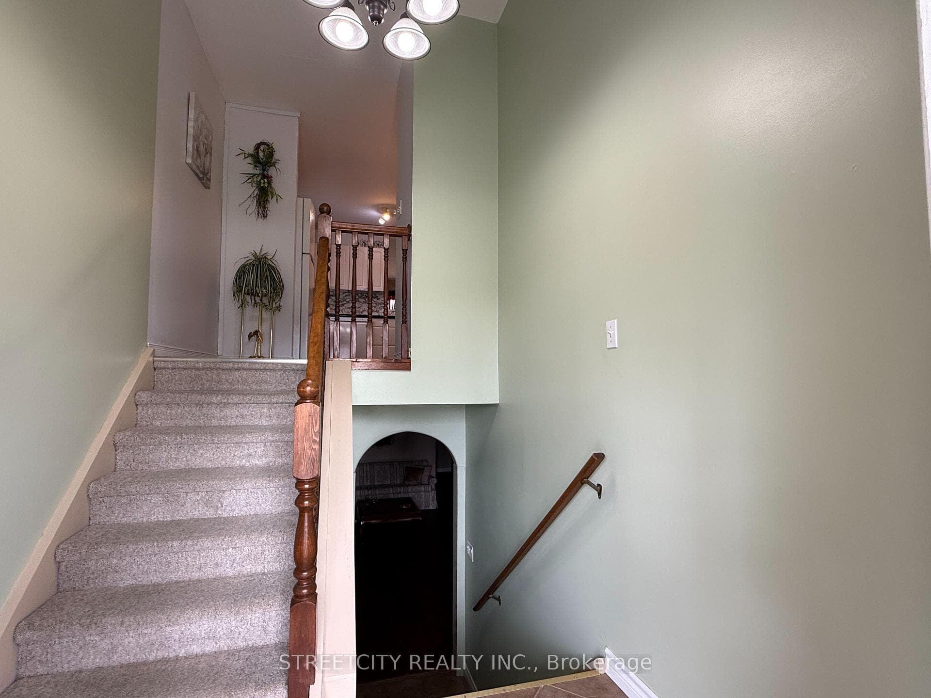 509 Brooke Street photo 12