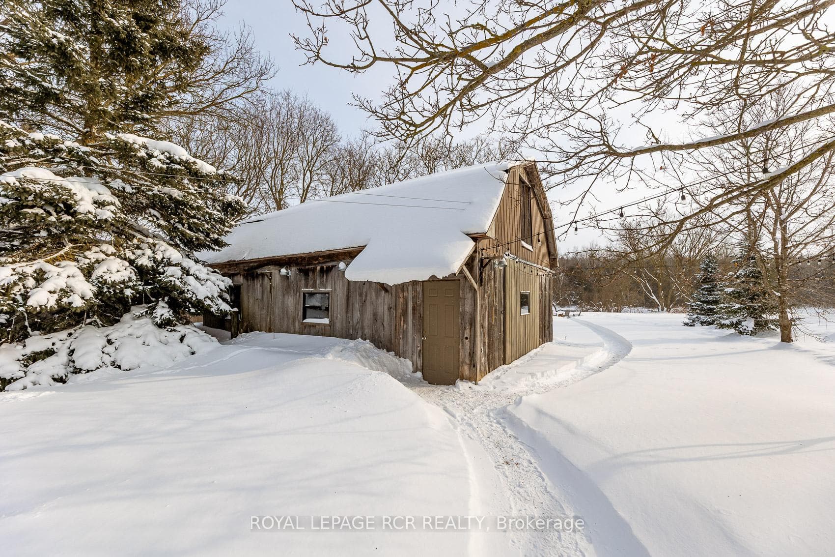 95 Amaranth Street photo 29