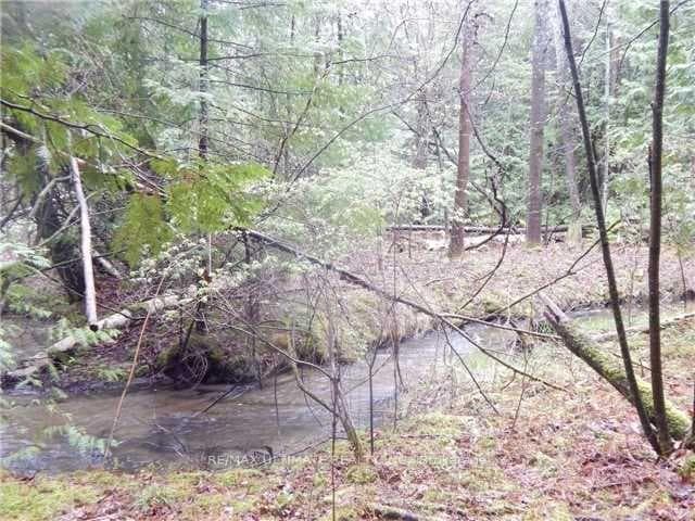 86 Rolling Banks Road Unit 10A photo 31