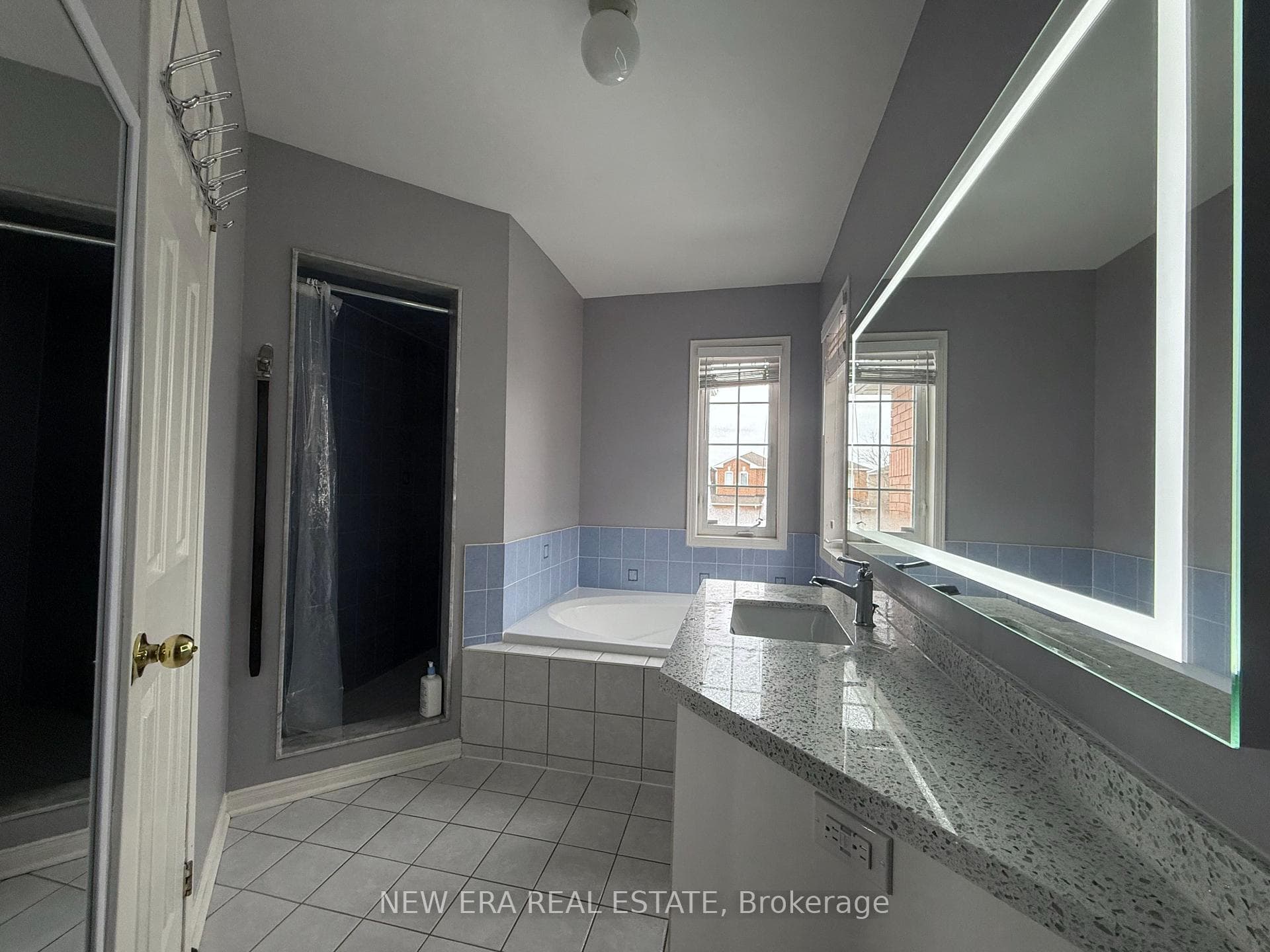 1015 Windbrook Grove photo 17