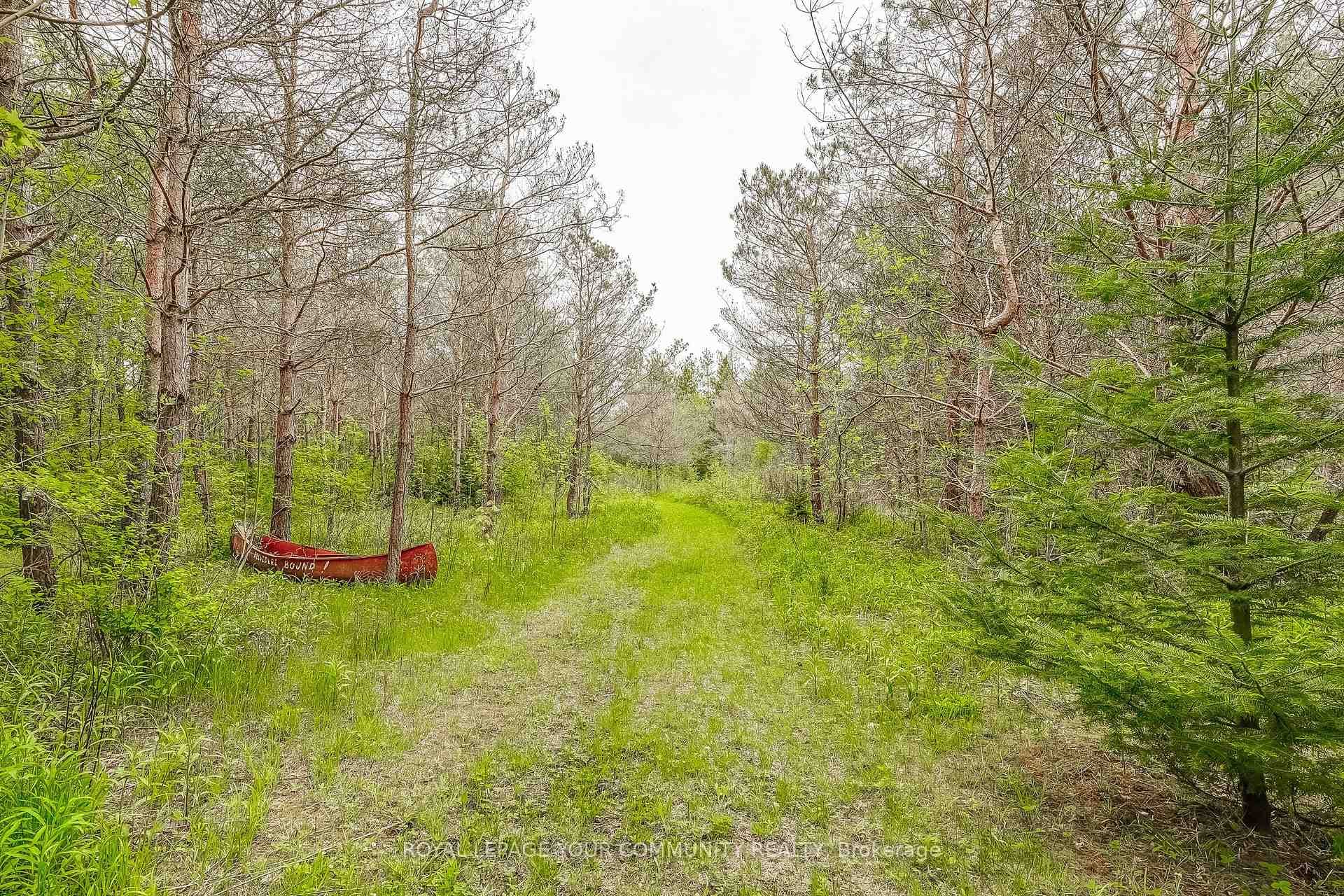 10085 Old Shiloh Road photo 28
