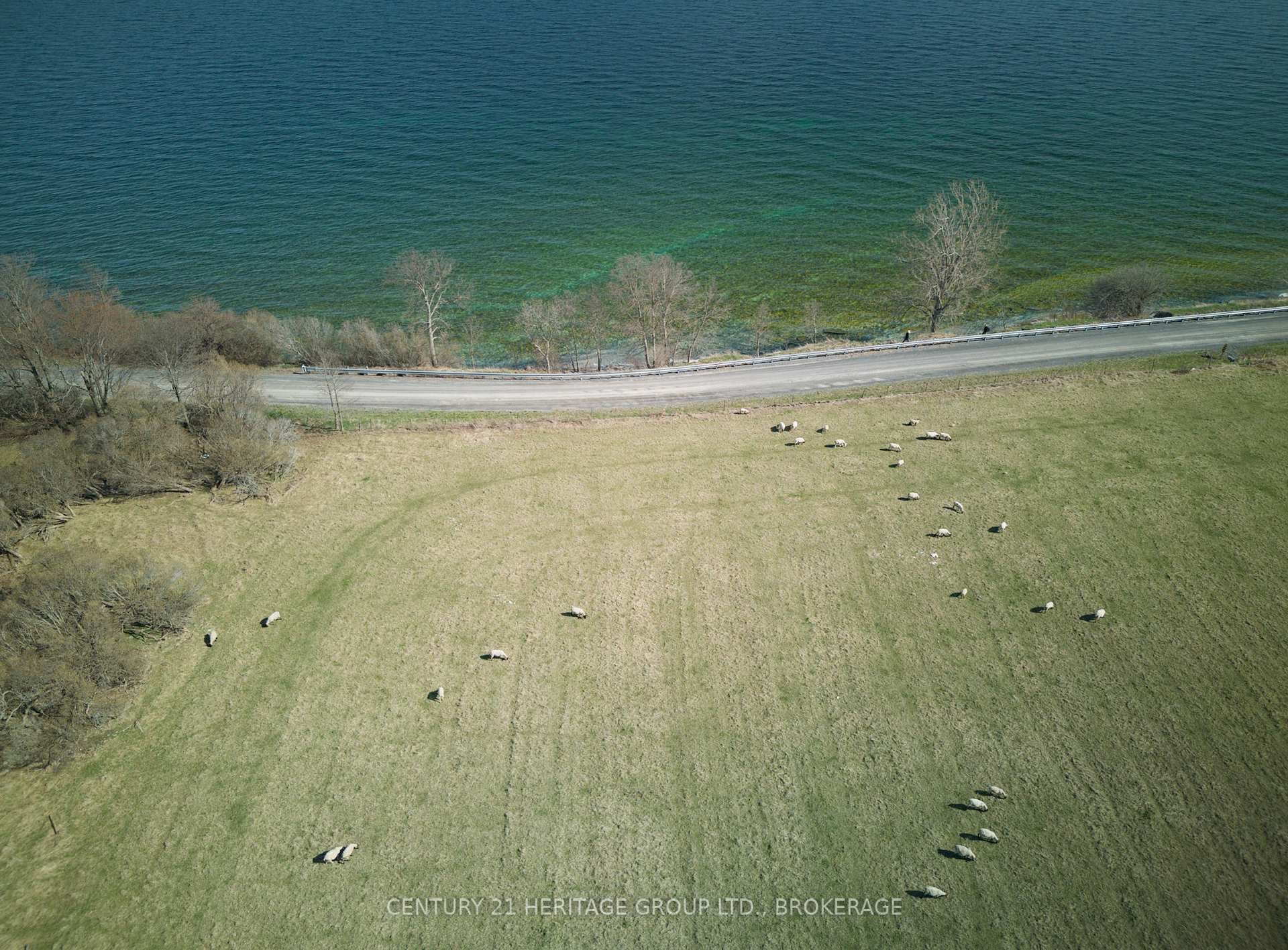 LOT 17 SOUTH SHORE Road photo 11
