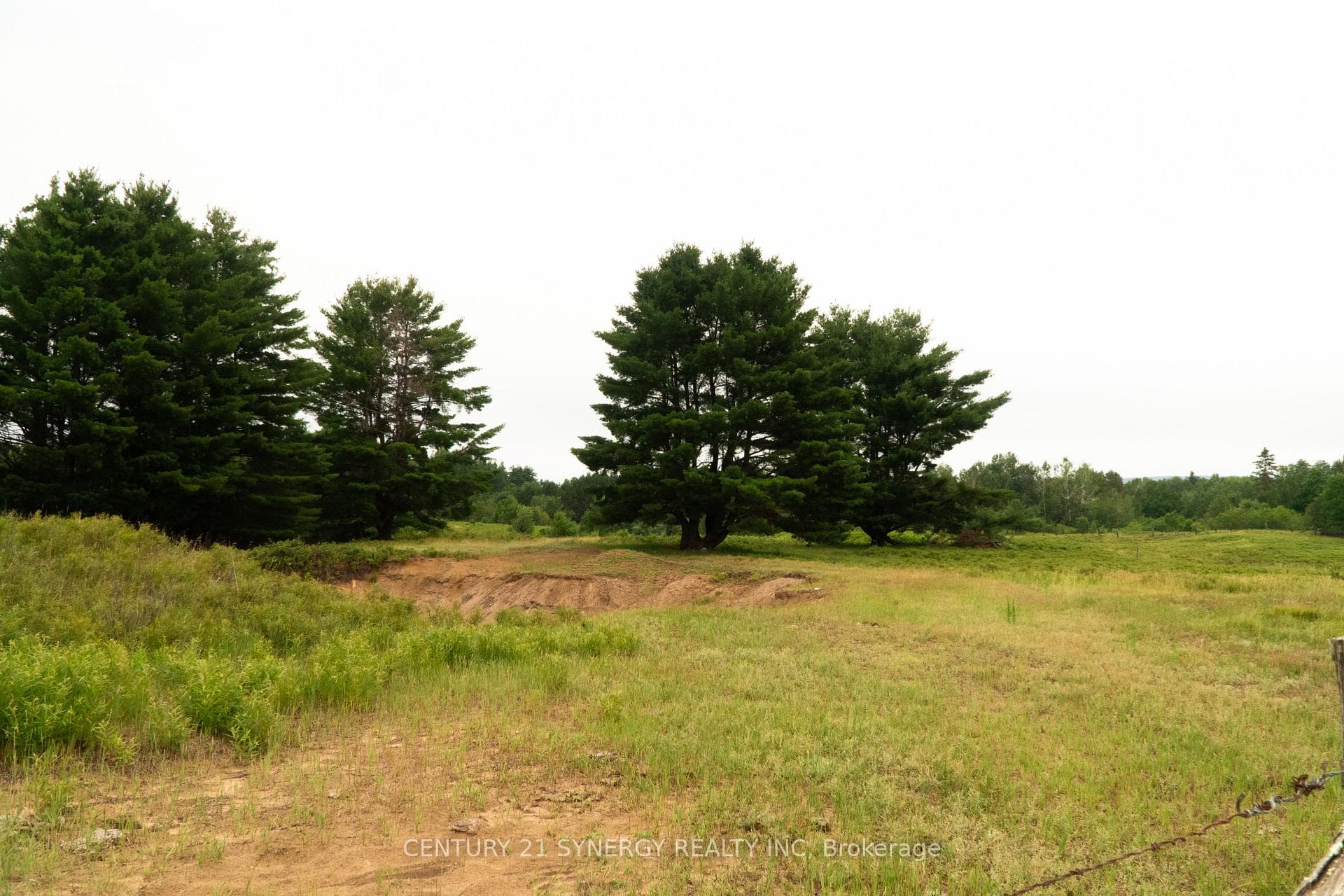 624 Wildlife Road photo 16