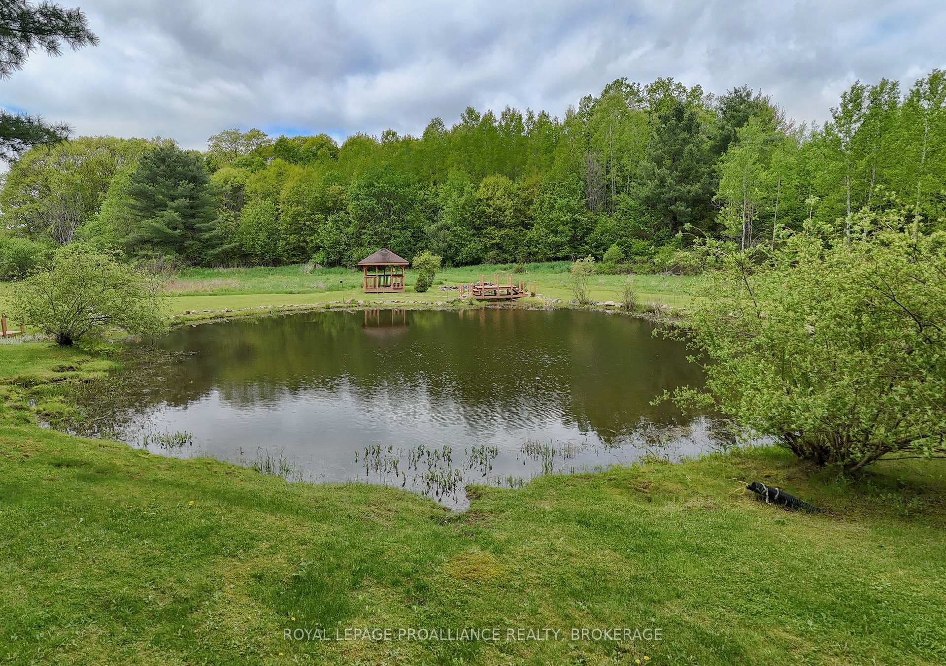 156 Darlingside Drive photo 47