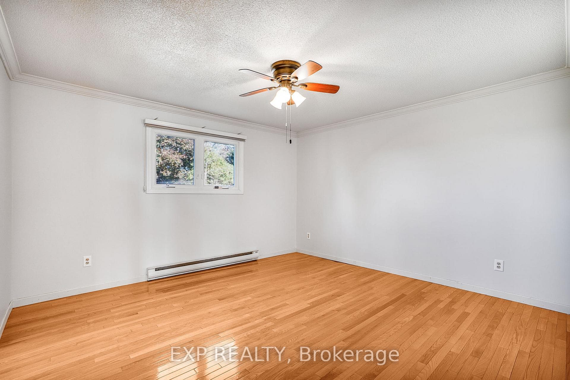 5 ALBERT Street photo 21