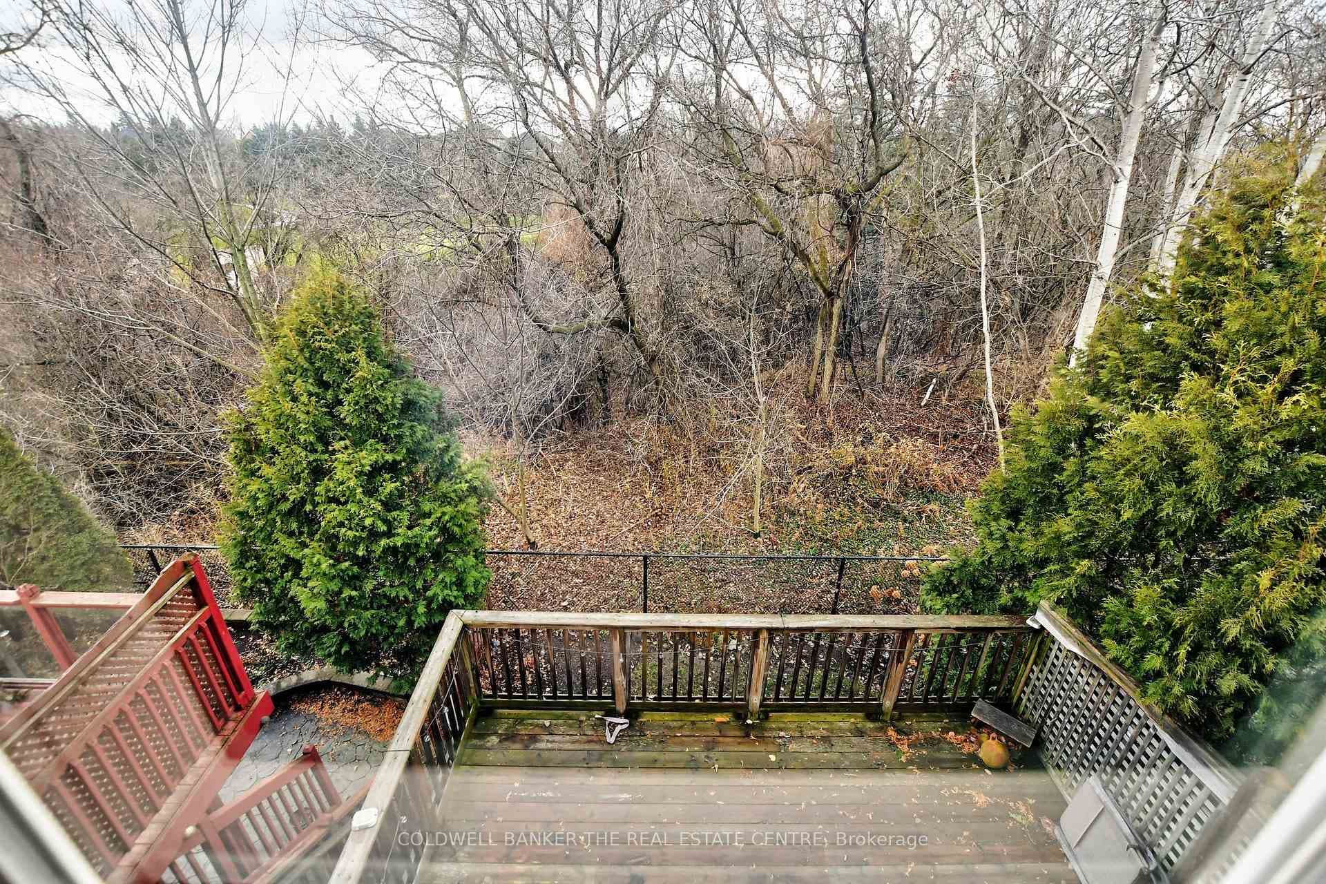 look whats in your Backyard - enjoy the views