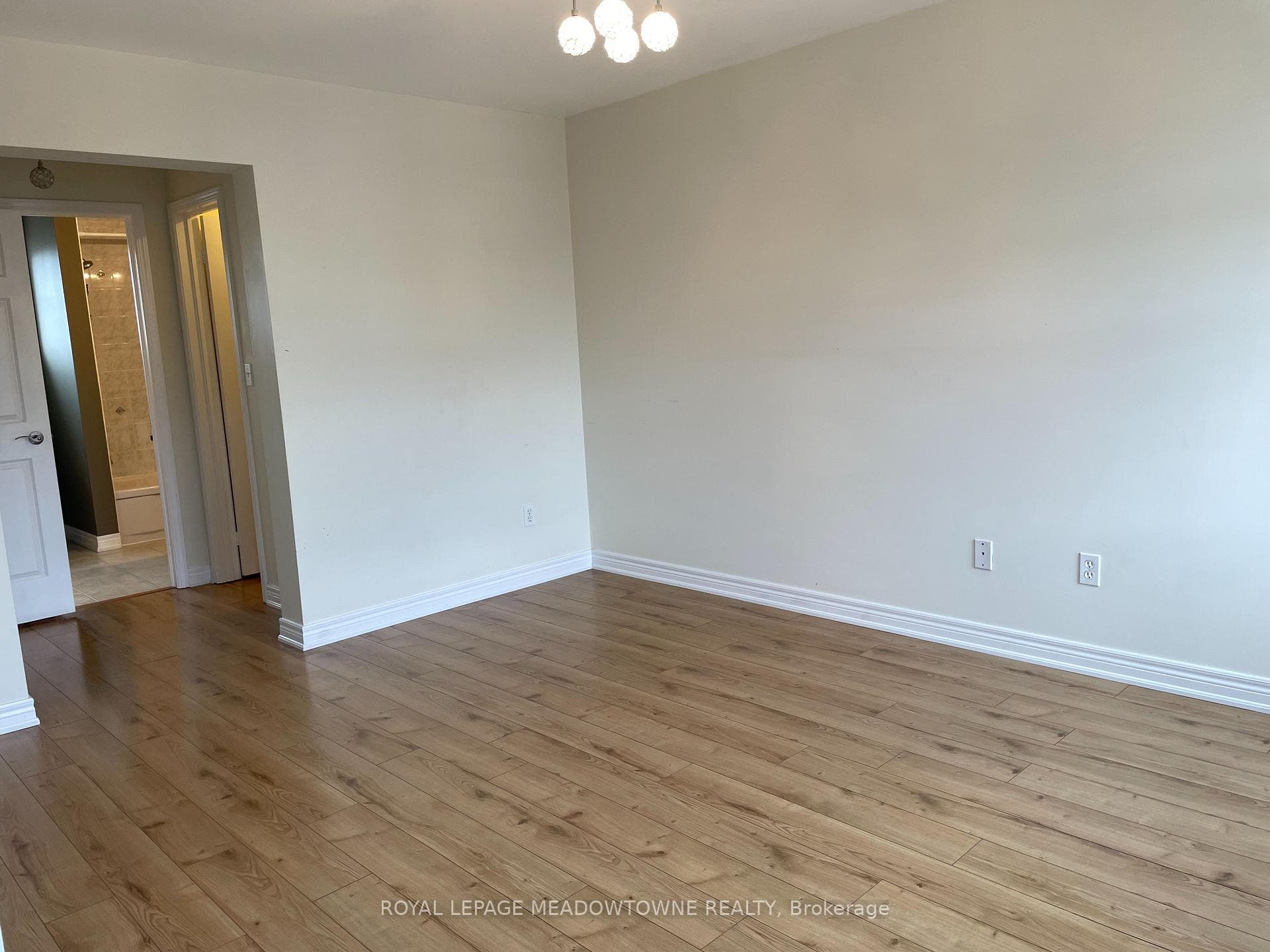 509 Collis Court photo 20