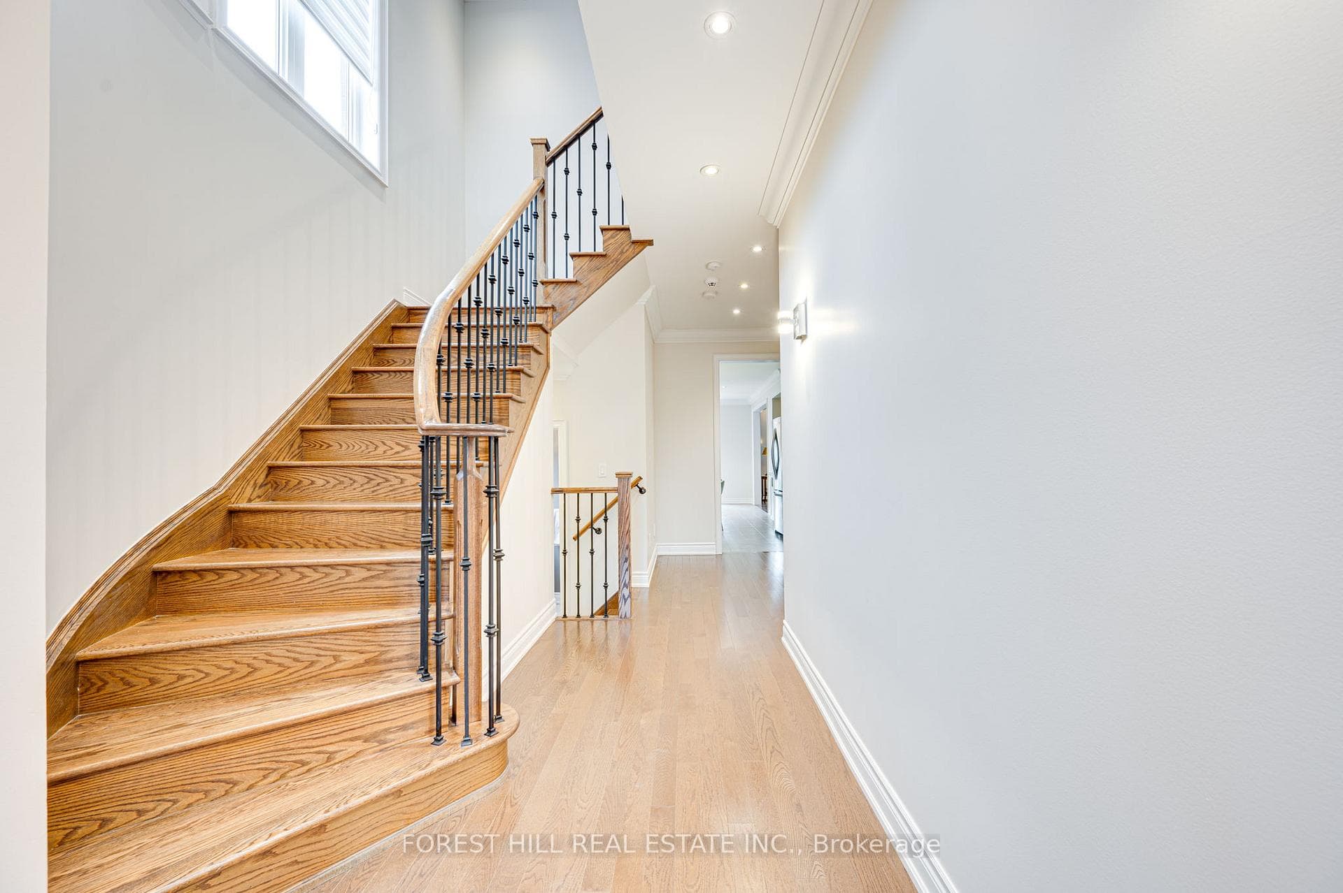 181 Goddard Street photo 4