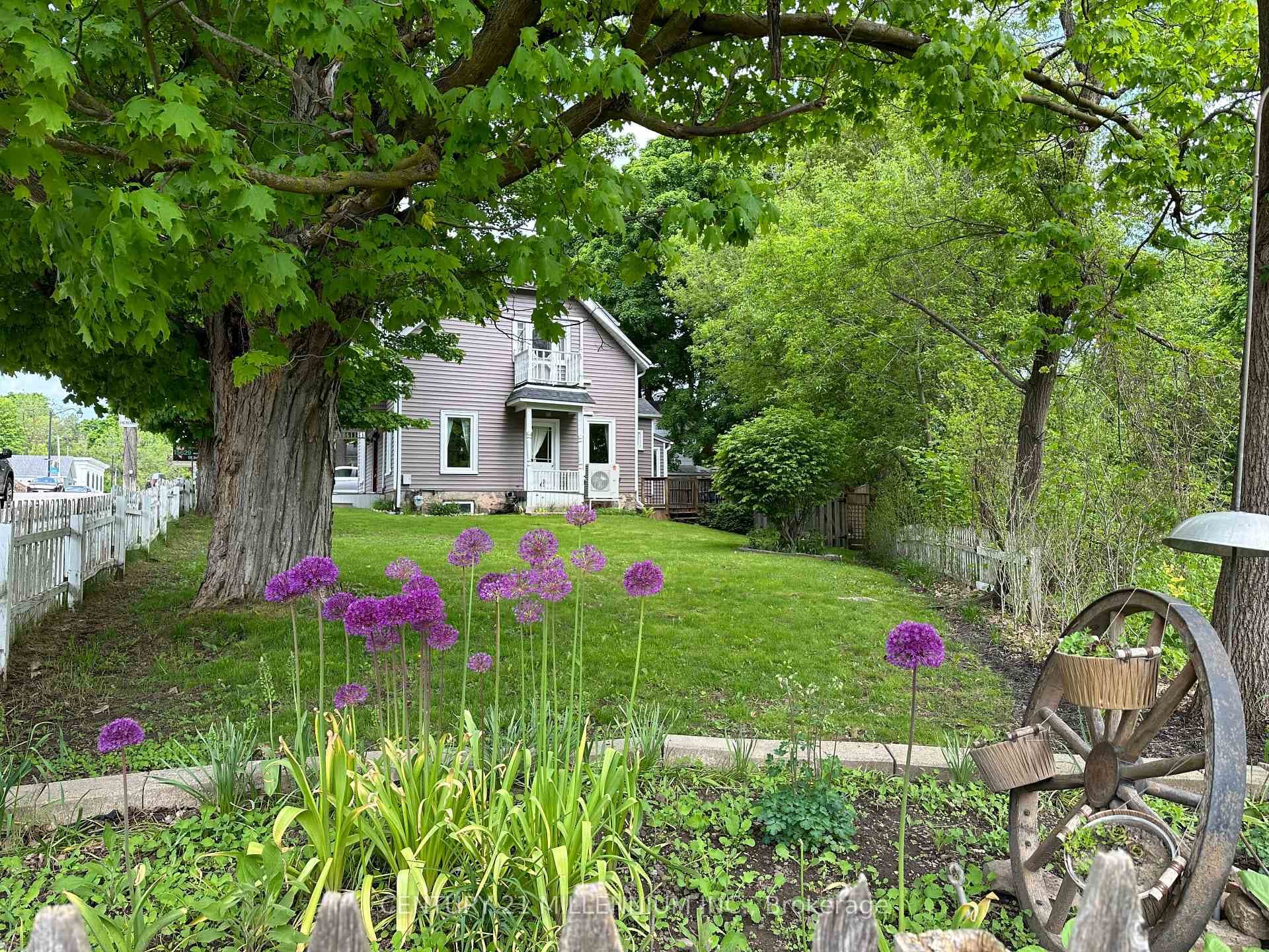 Side Yard & Gardens