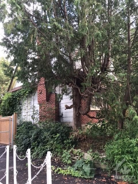 31 HARVARD Avenue photo 6