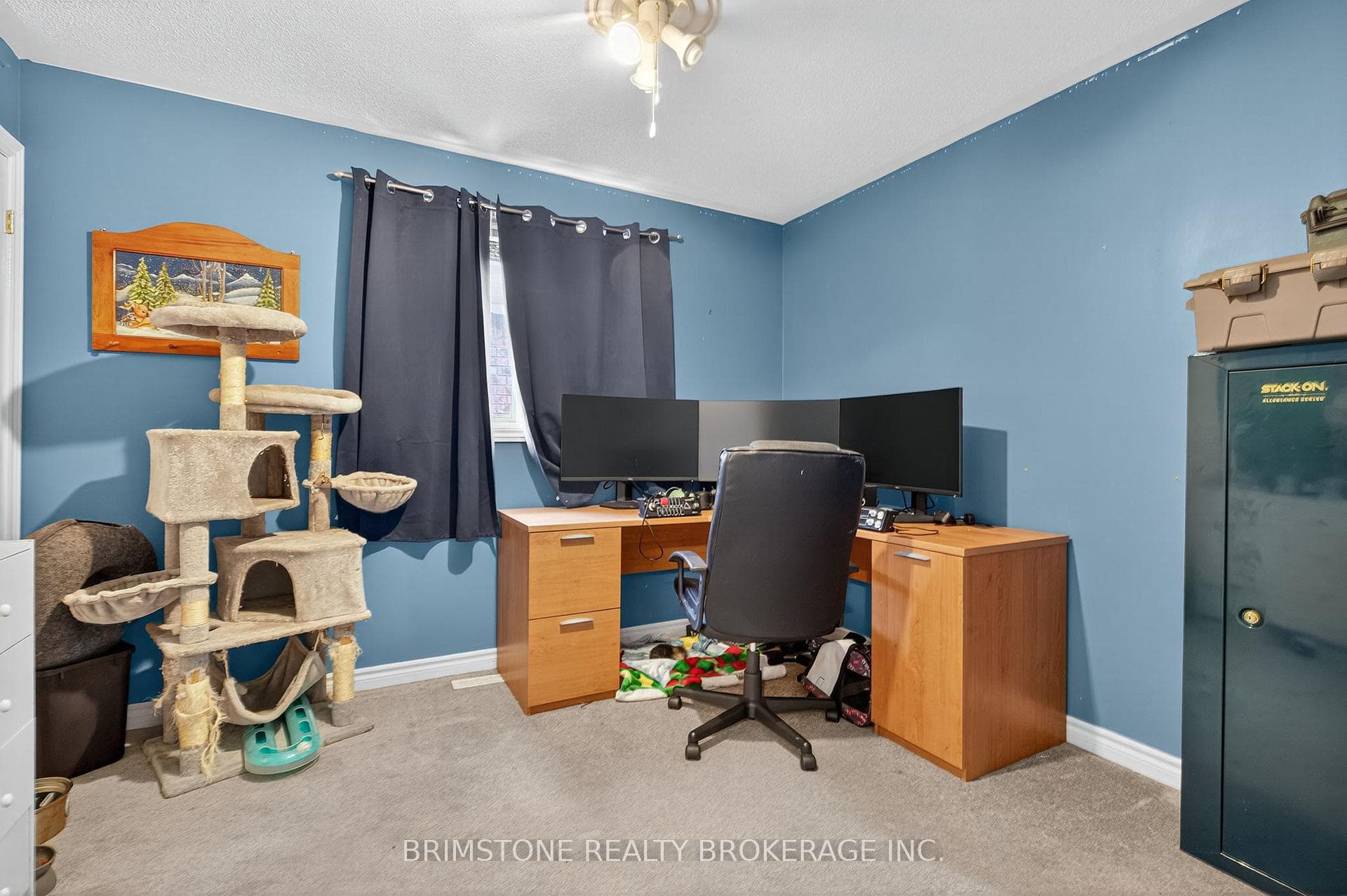 116 Bird Street photo 23