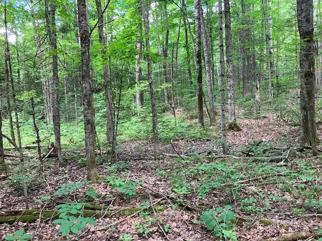 6732 County Road 620 N/A photo 10