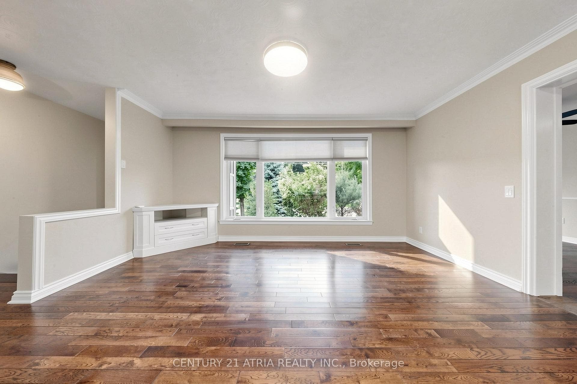 49 Netherford Road photo 6