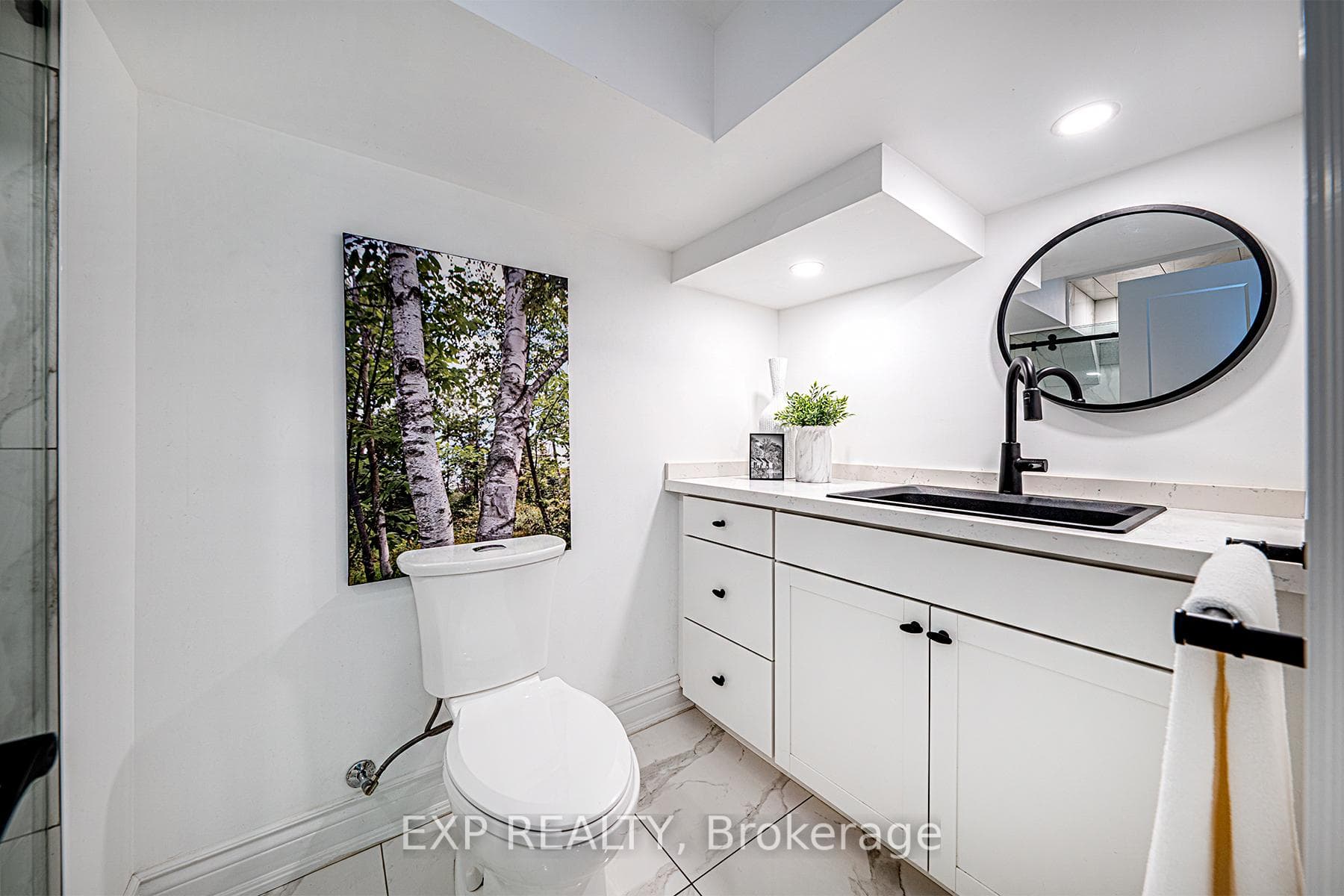 Lower Level Bathroom