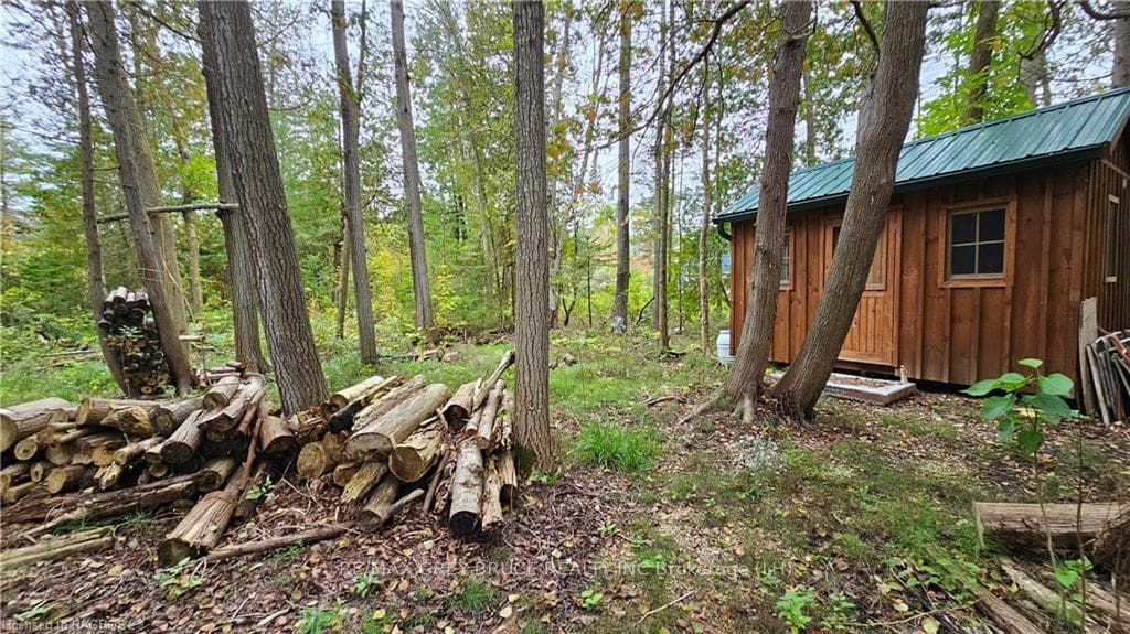 10 MURRAY Avenue photo 6