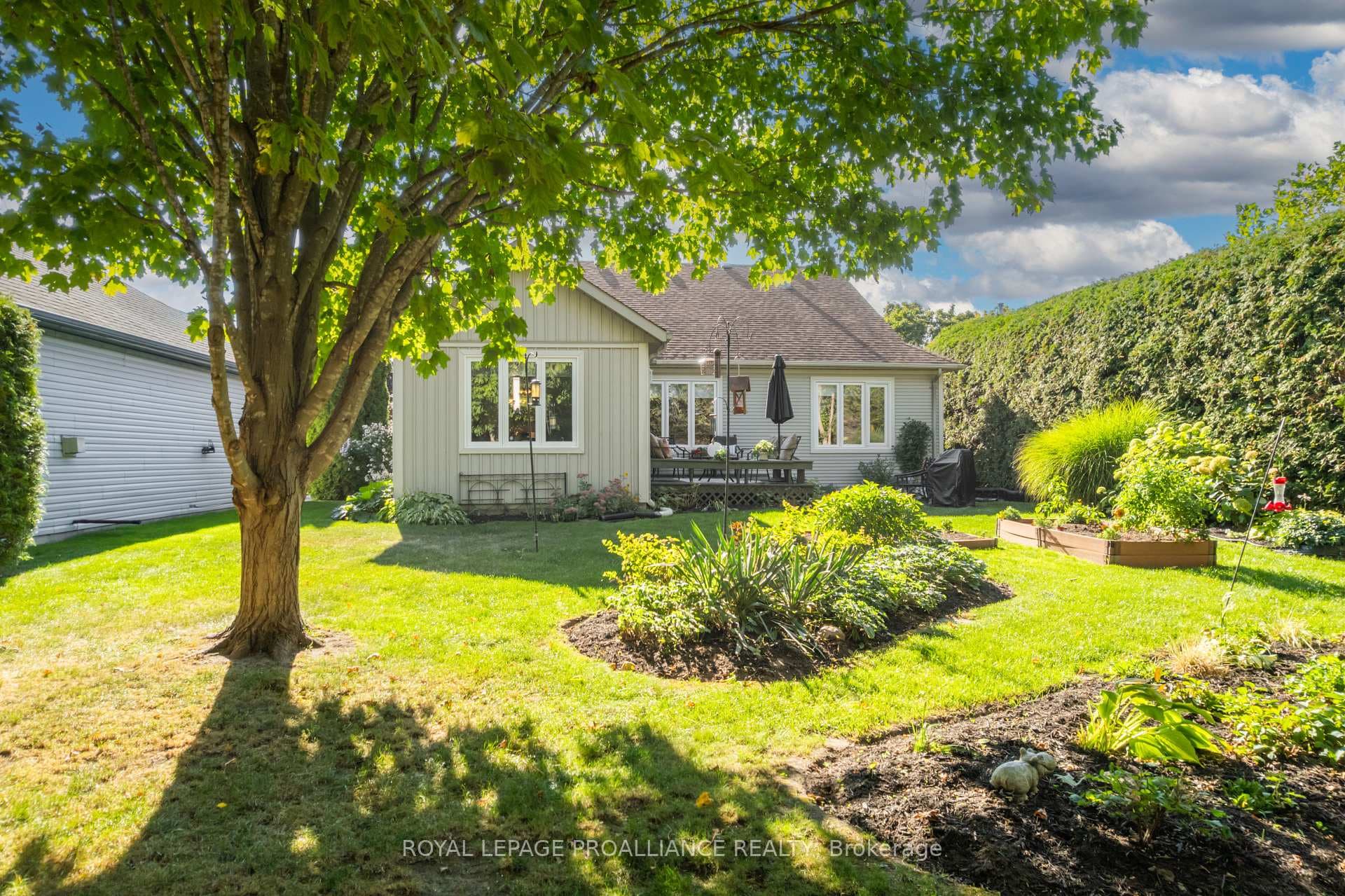 25 Mills Road photo 33