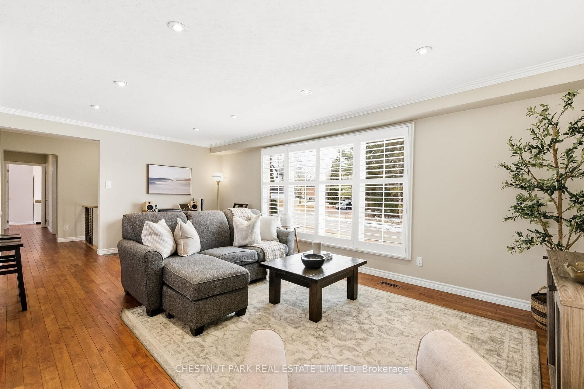 11 Joseph Street photo 15