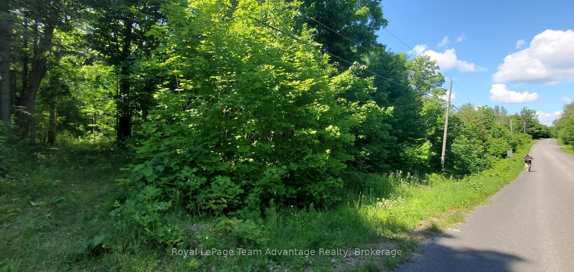 22 SUNNYSHORE PARK Drive photo 12