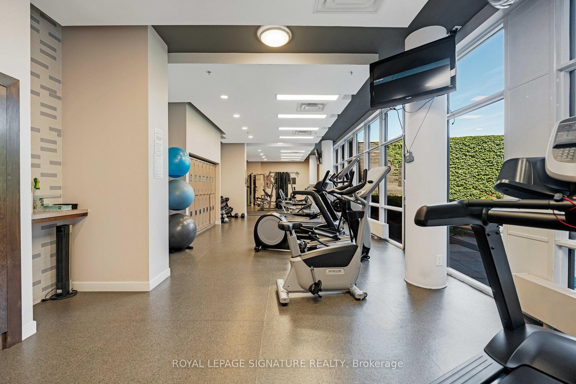 Gym